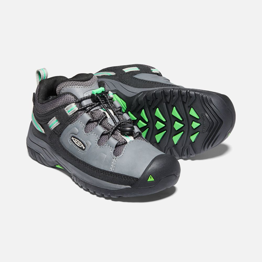 Keen Wandelschoenen Kinderen Grijs/Groen - Targhee Waterproof - 23598-EDTI